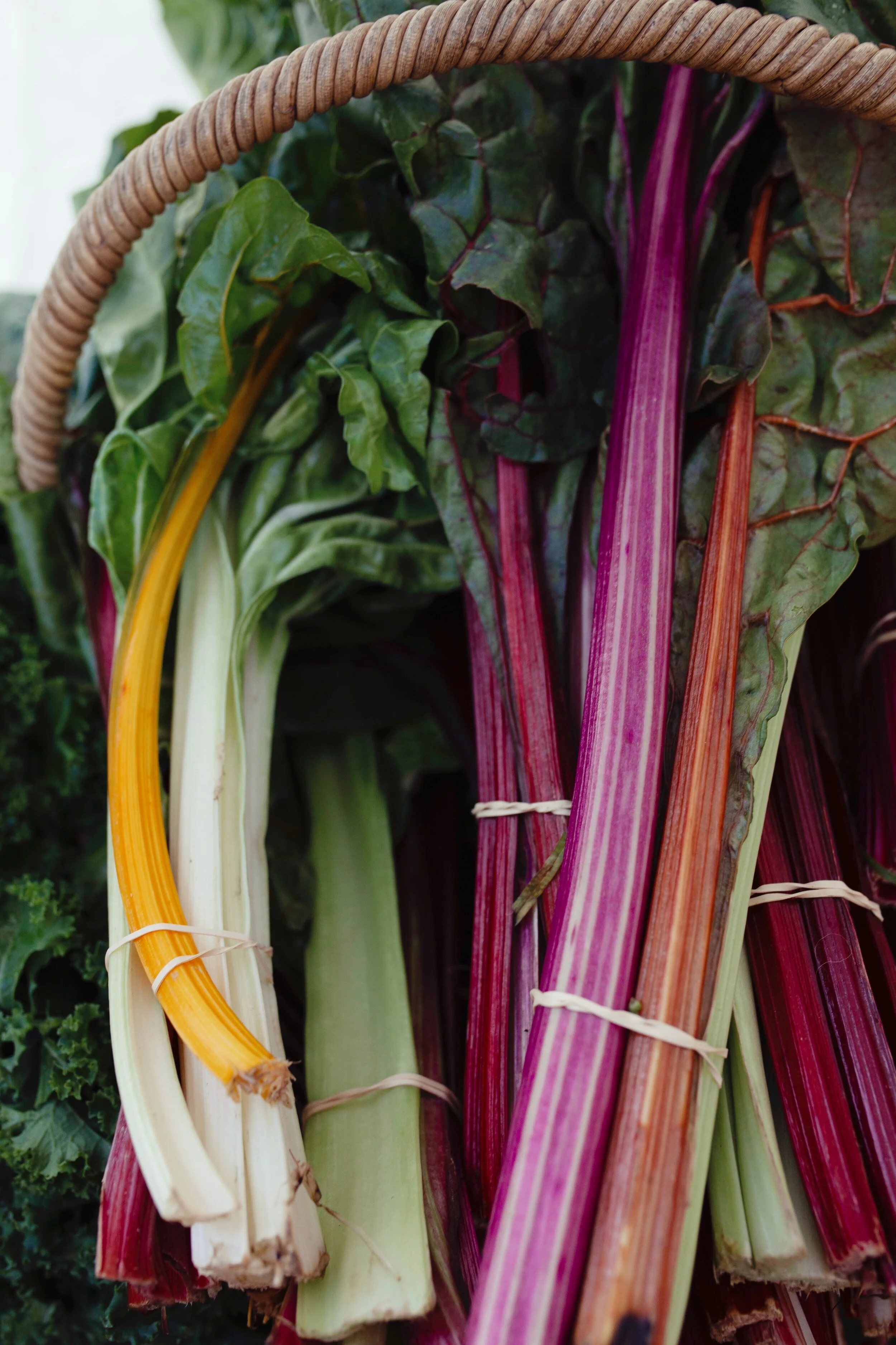 Farming operations at The Bio Organic Farm